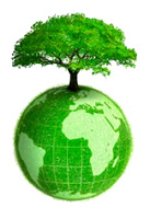 Tree Globe