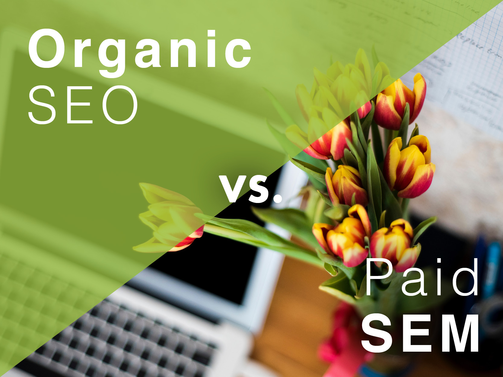 Organic SEO vs. Paid SEM