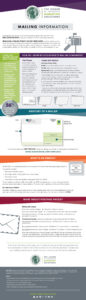 Mailing Standards Infographic