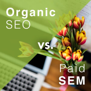 Organic SEO vs. Paid SEM