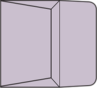 remittance envelope